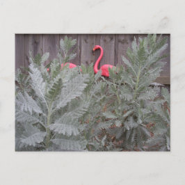 Arrangemang i Grått och Rosa Vykort