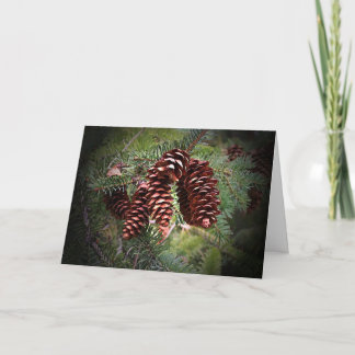 Arrangemang jul Pinecone Helgkort