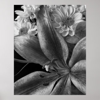 Arrangemang med Lillies Poster