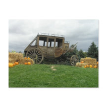 Arrangera lagledaren