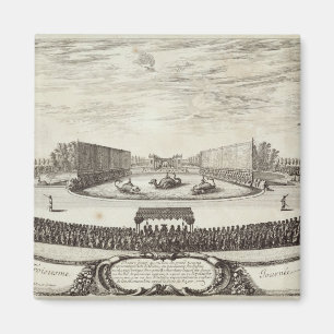 Arrangera på det stora damm som föreställer magnet