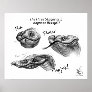 "Arrangerar trena av en Hognose Hissyfit ", Poster