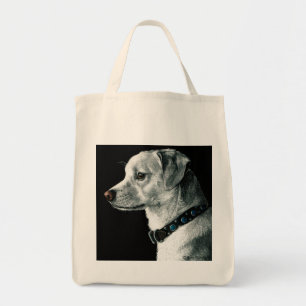 "Arrow" - Chihuahua Mix Tygkasse