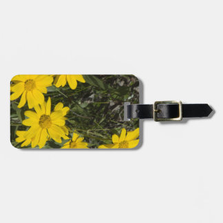 Arrowleaf Balsamroot Easy ID Personligt ID Bagagebricka