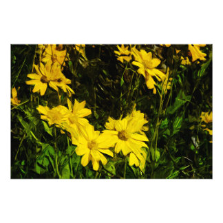 Arrowleaf Balsamroot Gult Wildblomma Abstrakt Fototryck