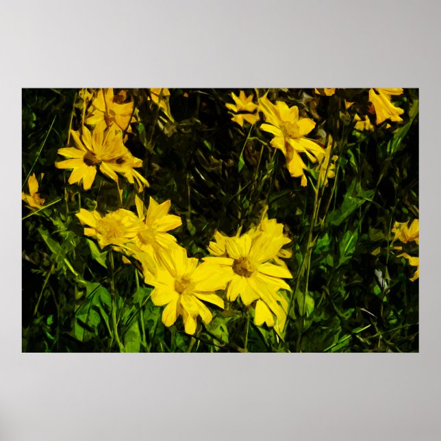 Arrowleaf Balsamroot Gult Wildblomma Abstrakt Poster (Framsidan)
