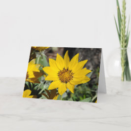 Arrowleaf Balsamroot Notecard Kort