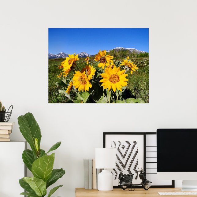 Arrowleaf Balsamroot-ramutskrift Poster (Hemmakontoret)