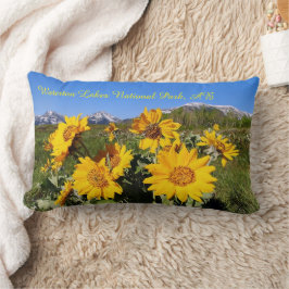 Arrowleaf Balsamroot Wildblomlumbar Pillow Lumbarkudde