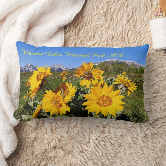 Arrowleaf Balsamroot Wildblomlumbar Pillow Lumbarkudde (Filt)