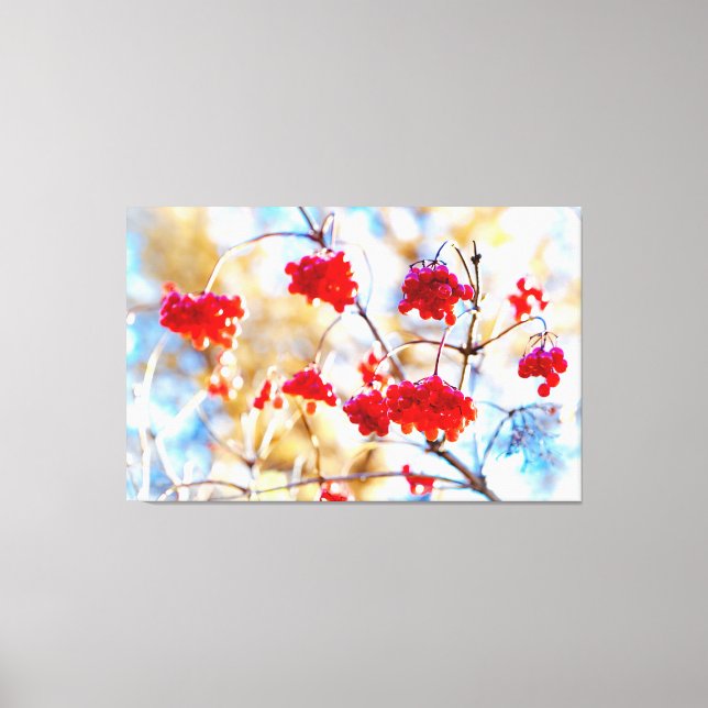 Arrowwood Berries Canvastryck (Framsida)