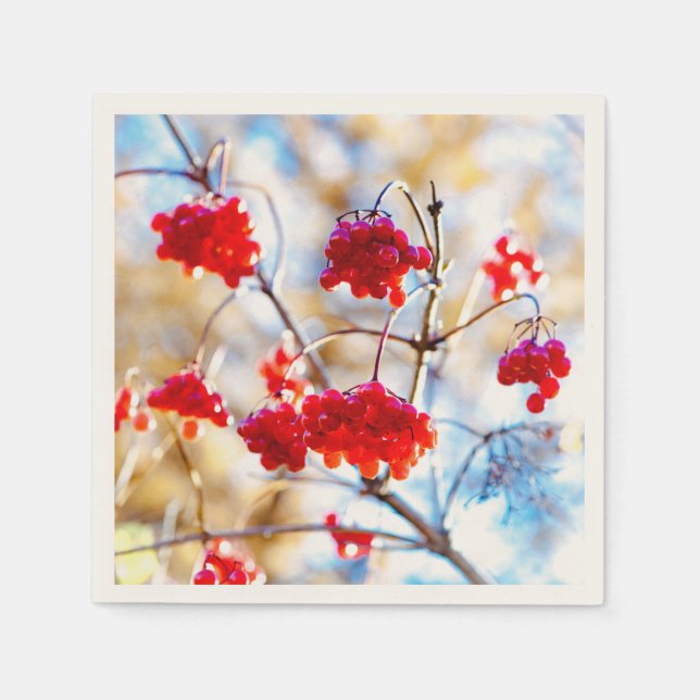 Arrowwood Berries Pappersservett (Framsidan)