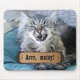Arrr Matey! Katt Musmatta
