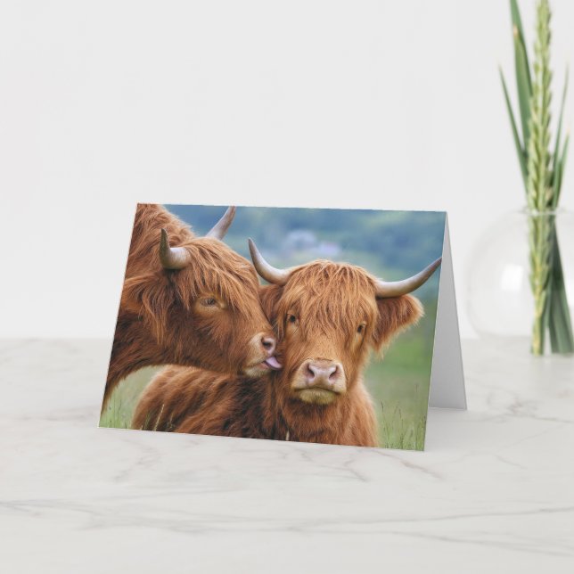 Årsdag Highland Ko Kyss Kort (Framsida)