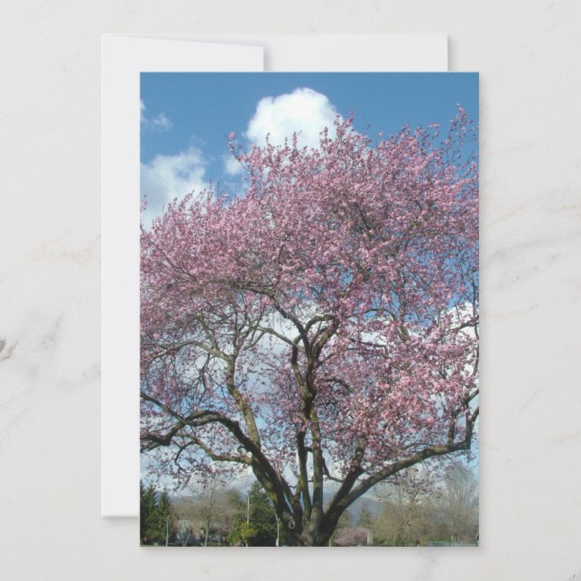 årsdag inbjudan körsbärs blommande träd (Framsida)