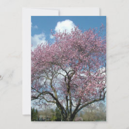 årsdag inbjudan körsbärs blommande träd