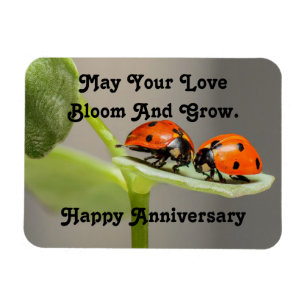 Årsdag Ladybugs Photo Magnet