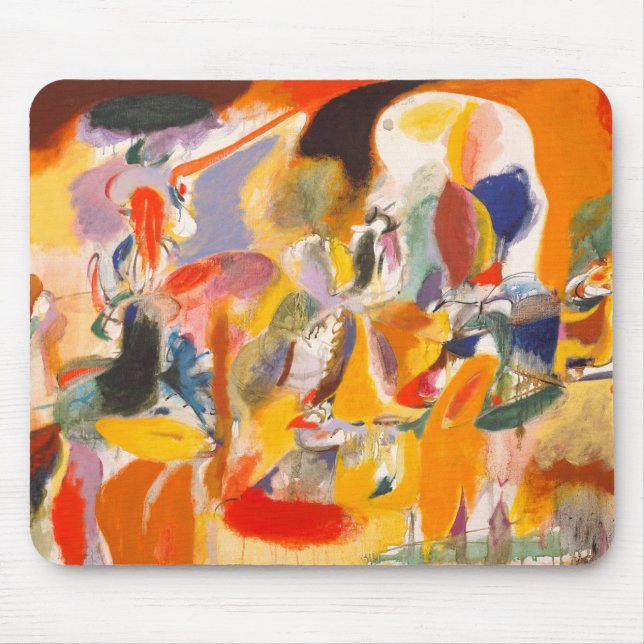 Arshile Gorky Musmatta (Framsidan)