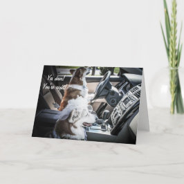 Årskort för körning av orgis kort