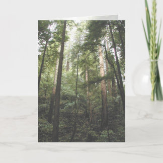 Årskort - Make Kort