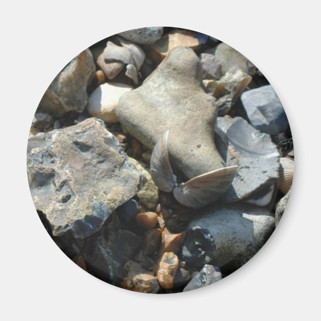 årskurs 3 magnet (Framsidan)