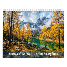 Årstider i skogen - Ett år bland träd Kalender