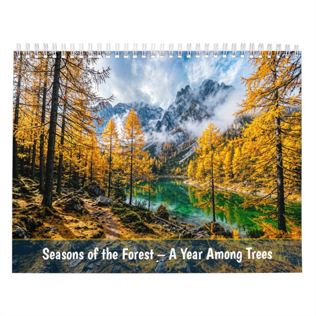 Årstider i skogen - Ett år bland träd Kalender (Omslag)