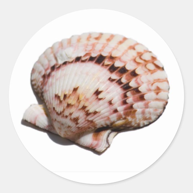 årstidsdekaler runt klistermärke (Framsida)