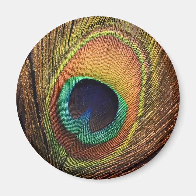 Art 4 Wilma Magnet (Framsidan)