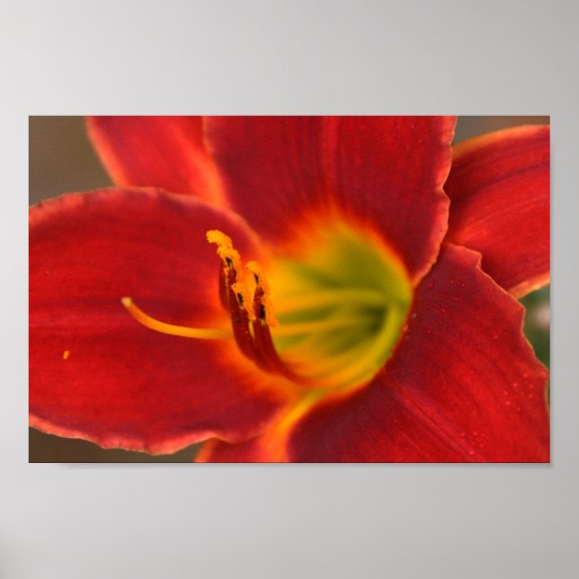 Art av Augle Poster (Framsidan)