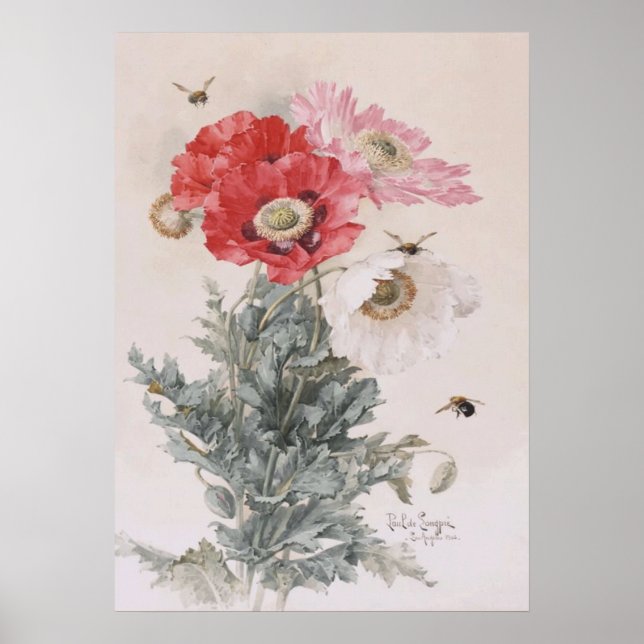 Art av Paul-De-Longpre, Poppies and Bees Poster (Framsidan)