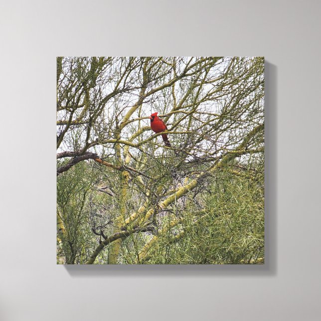 Art Canvas Cardinal (Framsida)
