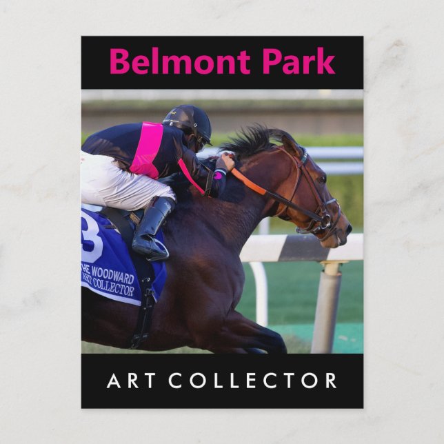 Art Collector & Saez Vykort (Framsida)