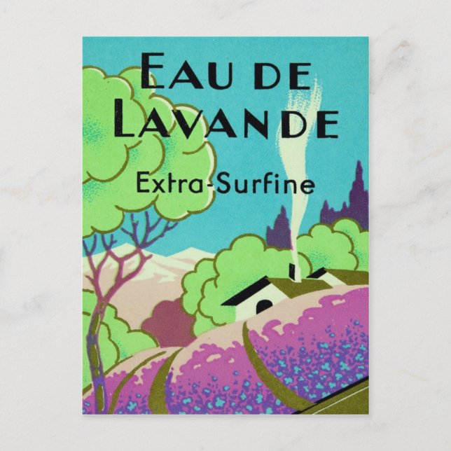 Art Deco Fransk Lavender Farm Vykort (Framsida)