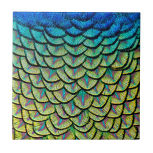 Art Deco Mönster i Peacock Feathers nära Kakelplatta