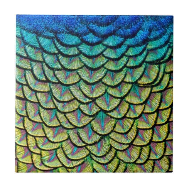 Art Deco Mönster i Peacock Feathers nära Kakelplatta (Framsidan)