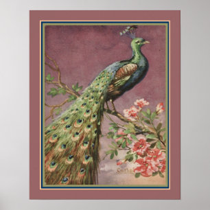 Art Deco Peacock av Carlo Chiostri 1920 Poster