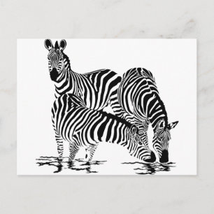 Art Deco Zebra Vykort