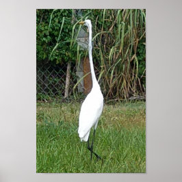 Art för dina väggar poster