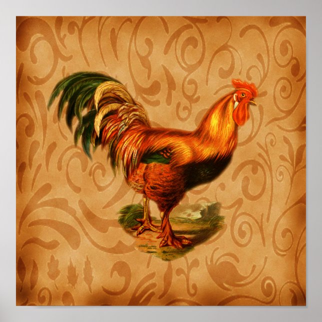 Art för köksväxten Rustic Tupp Poster (Framsidan)