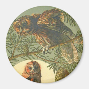 Art nouveau Anton Seder uggla bruna grönt gult Magnet