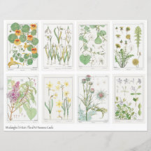 Art Nouveau Blommor Collage Ark Verneuil