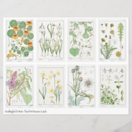Art Nouveau Blommor Collage Ark Verneuil