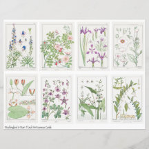 Art Nouveau Blommor Collage Ark Verneuil