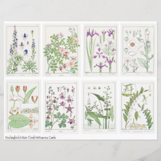 Art Nouveau Blommor Collage Ark Verneuil