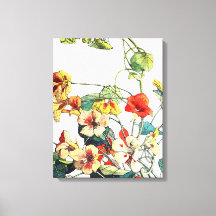 Art nouveau Garden Nasturtium Flowers