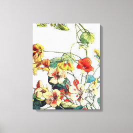 Art nouveau Garden Nasturtium Flowers Canvastryck