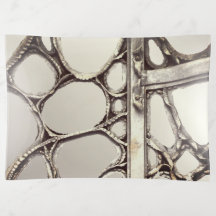 Art nouveau järn grind-dörrens antoni gaudi elegan