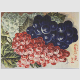 Art nouveau Poster 25-gradens avskärmningspapper