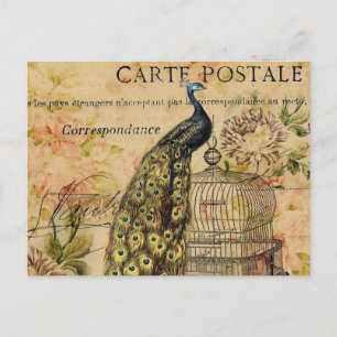 art nouveau vintage peacock fransk vykort